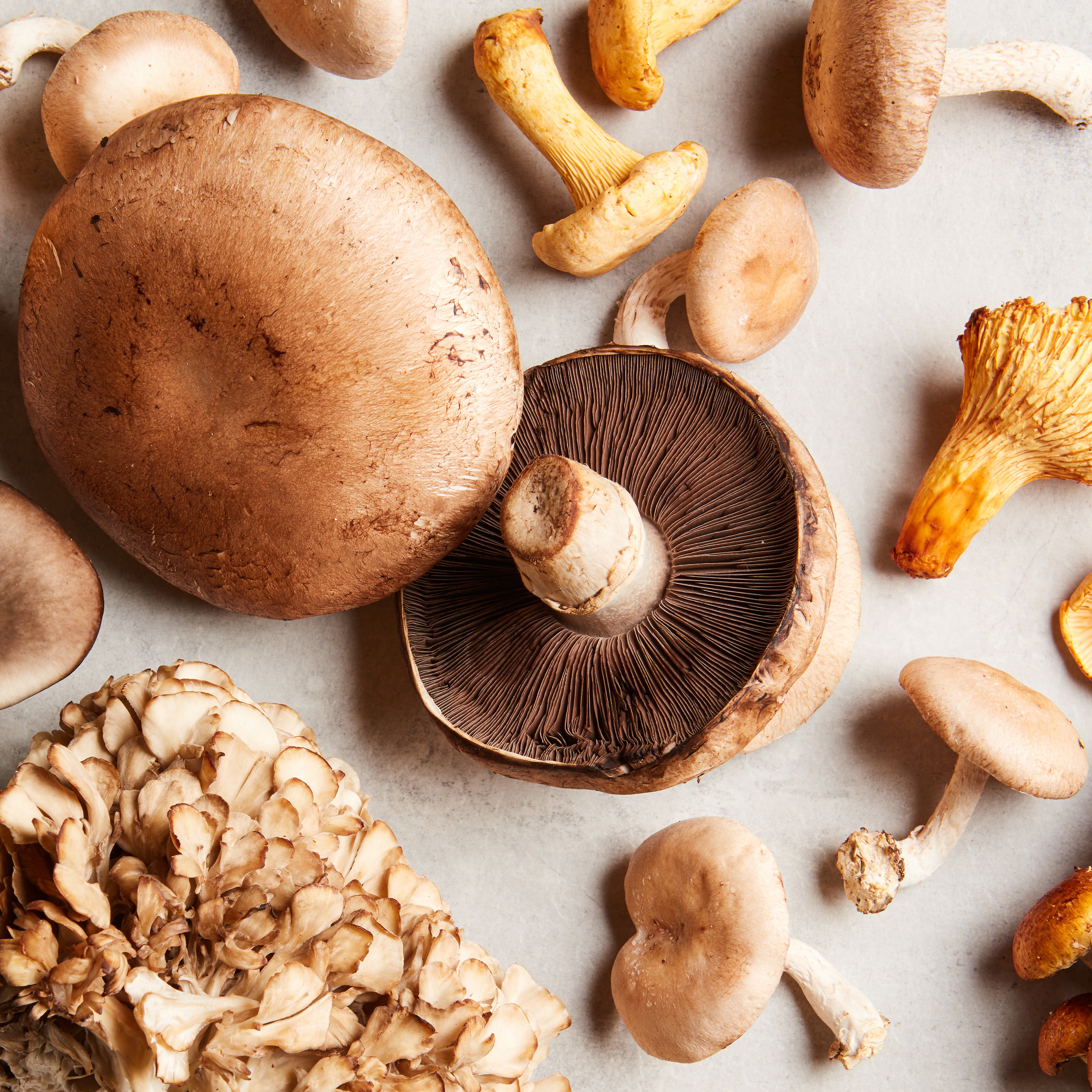 How to Store Mushrooms to Keep Those Fungi Fresh